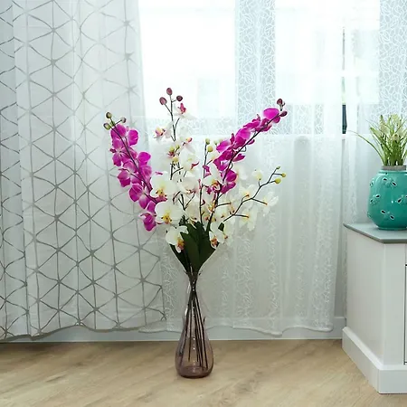 Supreme In By Flat Mаnager Apartament Varna