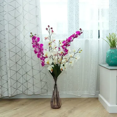 Supreme In By Flat Mаnager Apartment Varna